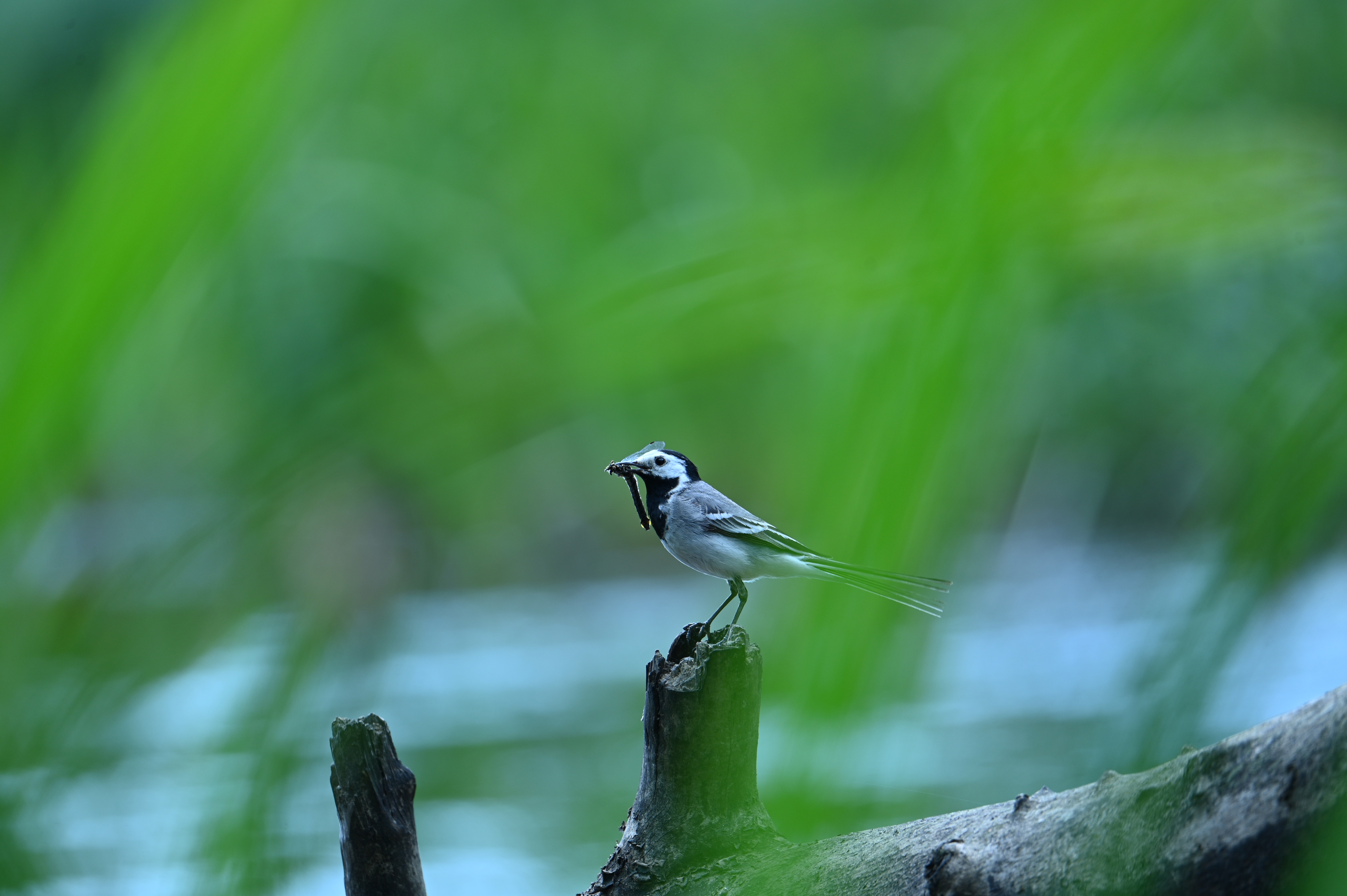 2025/07/09-14 - trip/DSC_0439.JPG